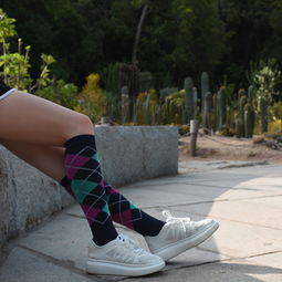 產(chǎn)品 襪子